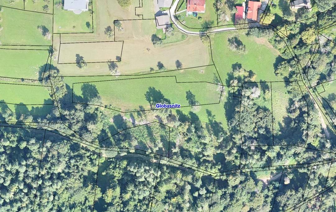 Landiwrtschaftliche Flächen in Jaunstein/Globasnitz - 1,7 ha Wiese, Weide, Wald