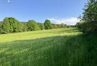 RARITÄT: LANDWIRTSCHAFT IM ERZHERZOG JOHANN BAUSTIL IM OSTSTEIRISCHEN HÜGELLAND - ERWEITERBAR