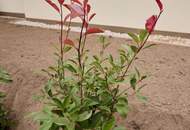 SAGENHAFT - Nachhaltige Massivholz-Einfamilienhäuser