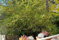 Charmant mit herrlichem Grünblick