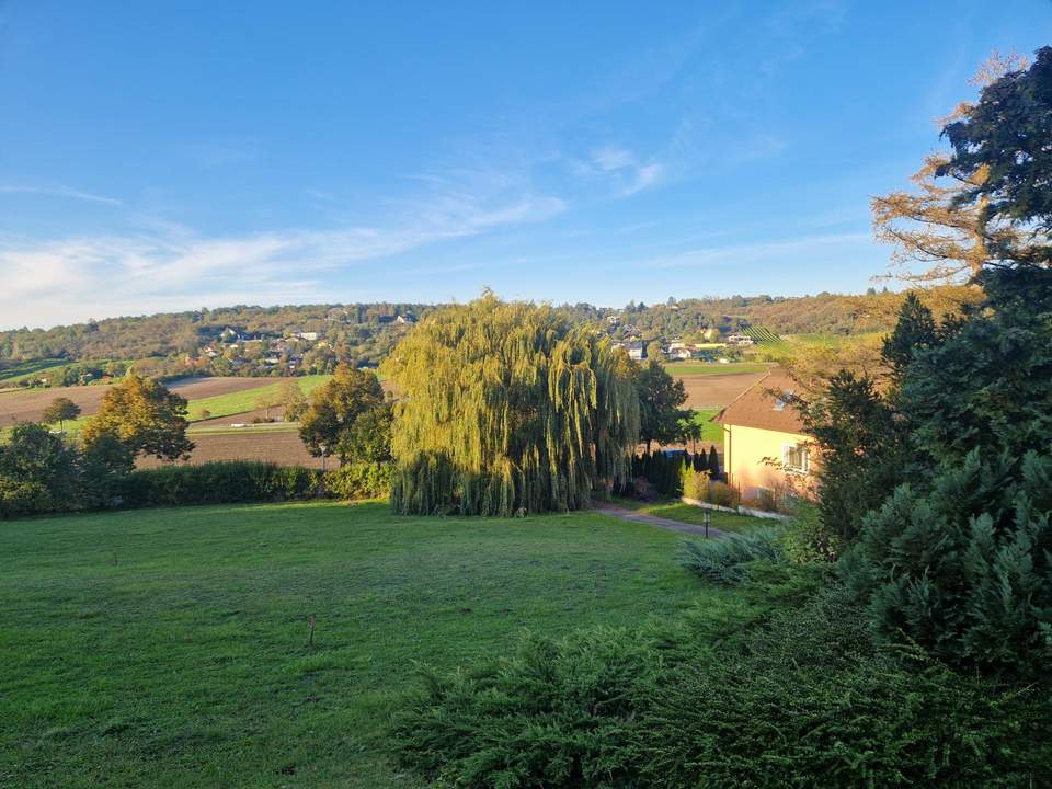 EIN TRAUM WIRD REALITÄT: AUSSERGEWÖHNLICHES BAUGRUNDSTÜCK IN HAGENBRUNN MIT FREIEM AUSBLICK IN TOLLER, RUHIGER WOHNLAGE