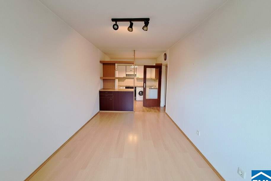 3-Zimmer-Wohnung mit Entwicklungspotenzial in Toplage des 20. Bezirks, Wohnung-kauf, 275.000,€, 1200 Wien 20., Brigittenau