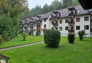1 Zimmerwohnung in ruhiger, "grüner" Lage neben dem Stift Rein