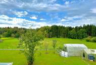 Geräumiges Familienhaus - voll unterkellert - großes Grundstück - südlich von Graz in beliebter Gemeinde Premstätten