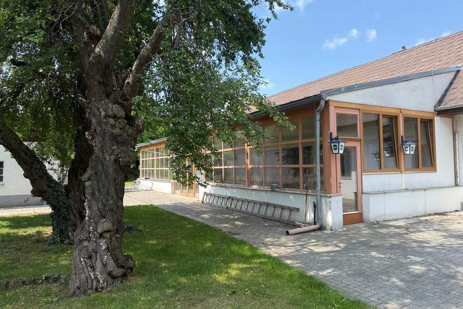 Sonderobjekt - Große attraktive Liegenschaft, Gewerbeobjekt-kauf, 749.999,€, 2424 Neusiedl am See