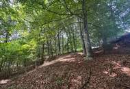 Ruhelage am Ende einer Sackgasse – sonniges Bauland mit eigenem Wald & Möglichkeit zur Grundstücksteilung
