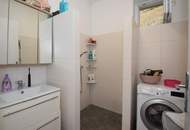 Haus an der Donau in Neustadtl - Stegmiete möglich!