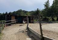 **Traumhaftes Einfamilienhaus mit Pferdestall, Koppel und großem Grundstück in Bocksdorf**
