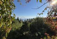 Doppelhaus-Ensemble in traumhafter Höhenlage!