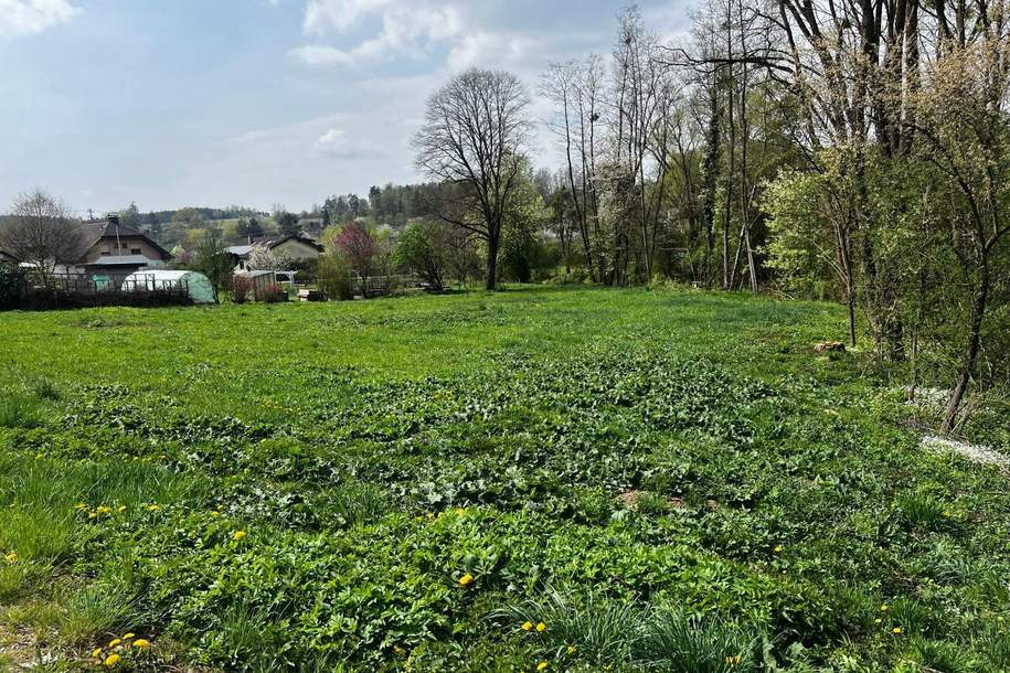Grundstück in Neuberg mit Großem Potenzial, Grund und Boden-kauf, 35.500,€, 7537 Güssing