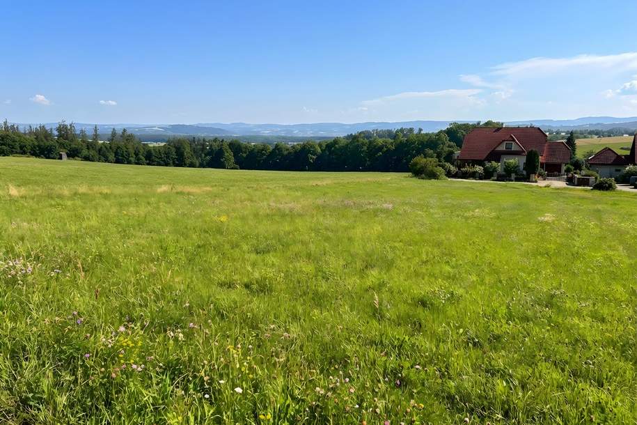 Unverbaubares Grundstück mit Aussichtslage, Grund und Boden-kauf, 375.000,€, 4073 Linz-Land