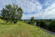 Grundstück mit Altbestand und Traumaussicht in ruhiger Lage