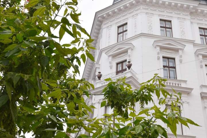 Ein JUWEL im Zentrum Wiens – Stil, Luxus und Lage in Perfektion, Wohnung-kauf, 6.800.000,€, 1010 Wien 1., Innere Stadt