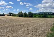 Landwirtschaftlicher Nutzgrund Leonding