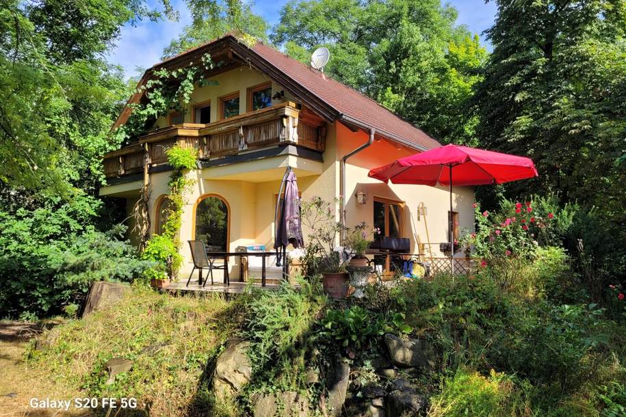 Großzügig wohnen in Traumruhelage an der Au!, Haus-kauf, 475.000,€, 2603 Wiener Neustadt(Land)