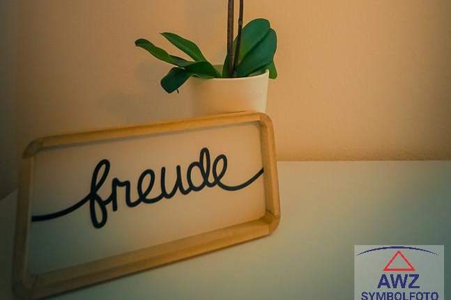 Wohnhaus mit Wohnrecht! Für Investoren!, Haus-kauf, 8302 Graz-Umgebung