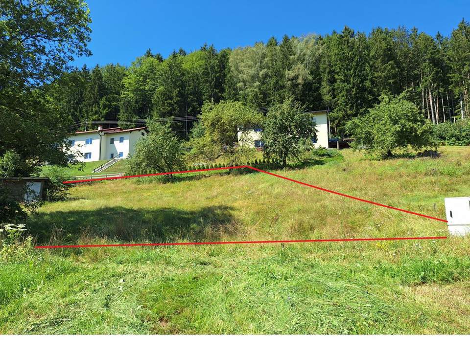 Baugrundstück ohne Bauzwang: Reichenau im Mühlkreis erwartet Sie