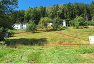 Baugrundstück ohne Bauzwang: Reichenau im Mühlkreis erwartet Sie