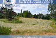 Weitläufiges Baugrundstück in Amaliendorf – Ruhe und Natur!
