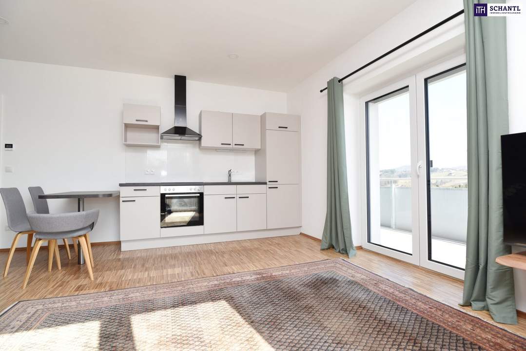 Coole voll ausgestattete Ferienwohnung mit traumhaftem Weinbergblick – komplett möbliert & sofort bezugsbereit! - 3D-Rundgang vorhanden!