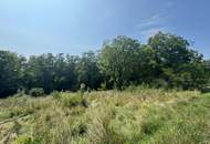 Zwei Baugrundstücke mit angrenzender Waldfläche in Hartberg – Am Brühlbach