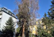 Townhouse Grinzing - meine Familienwohnung