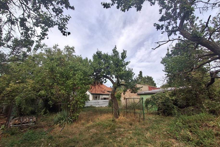 Großes Grundstück 5.143 m² in Hornstein - Baugrund und Grünland, Grund und Boden-kauf, 465.000,€, 7053 Eisenstadt-Umgebung