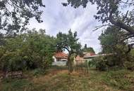 Großes Grundstück 5.143 m² in Hornstein - Baugrund und Grünland