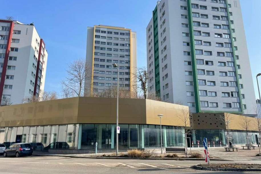Pendler-Preishammer! 4 Zimmer!, Wohnung-kauf, 250.000,€, 3100 Sankt Pölten(Stadt)