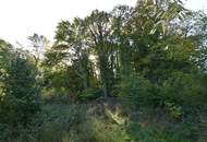Große Liegenschaft mit 2 Häusern mit Ganztagssonne, Freiland und eigenem Wald in Ruhe-, wie Aussichtslage