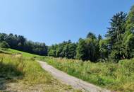 BAUGRUNDSTÜCKE - NEUPARZELLIERUNG IN SCHÖNER RUHELAGE
