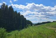 Die eigene Ranch auf 9,2ha Grund und Wald verwirklichen (Provisionsfrei)