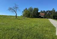 Sonniges Baugrundstück in idyllischer Lage – Edelsgrub, 8302 Nestelbach