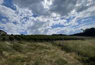 Bad Waltersdorf: Weinberge, Ackerflächen und Wald für experimentierfreudige Winzer oder Landwirte mit Vision
