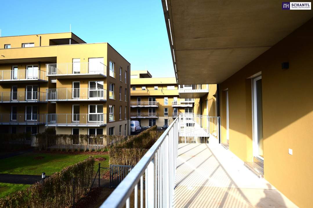 Genießen Sie herrliche Sommertage in Ihrem idyllischen Eigenarten - viele weitere Wohnungen auch nur mit Balkon verfügbar!