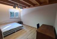 Landhaus in Alleinlage bei Diex