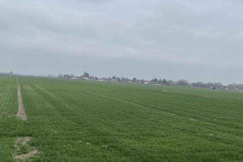 Kleinerer Acker in Kopfstetten!, Grund und Boden-kauf, 2305 Gänserndorf