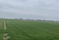 Kleinerer Acker in Kopfstetten!