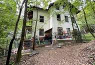 Waldgrundstück mit Altbestand in Amras