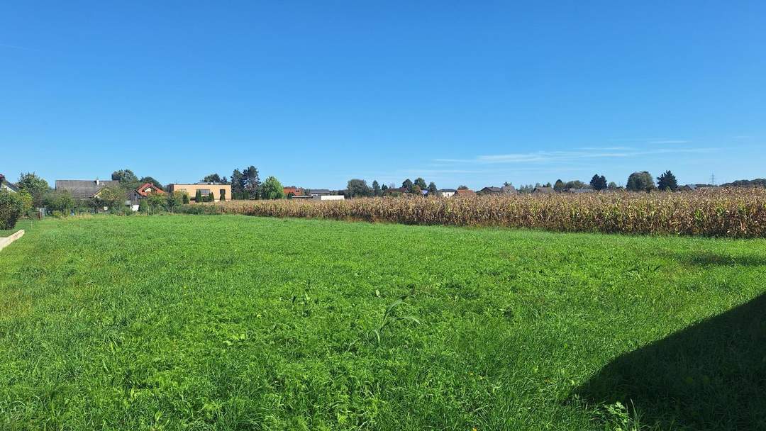 "Traumhafter komplett ebener Baugrund in Straß in der Südsteiermark"