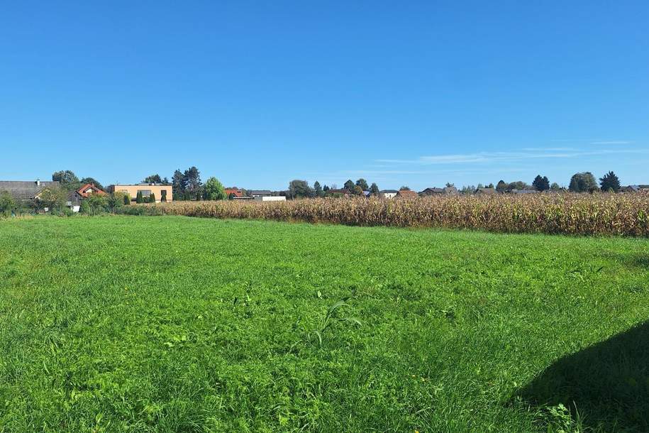 "Traumhafter komplett ebener Baugrund in Straß in der Südsteiermark", Grund und Boden-kauf, 118.000,€, 8472 Leibnitz
