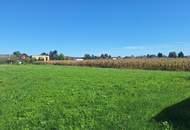 "Traumhafter komplett ebener Baugrund in Straß in der Südsteiermark"