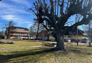 Wohnung mit viel Potential in Toplage!!