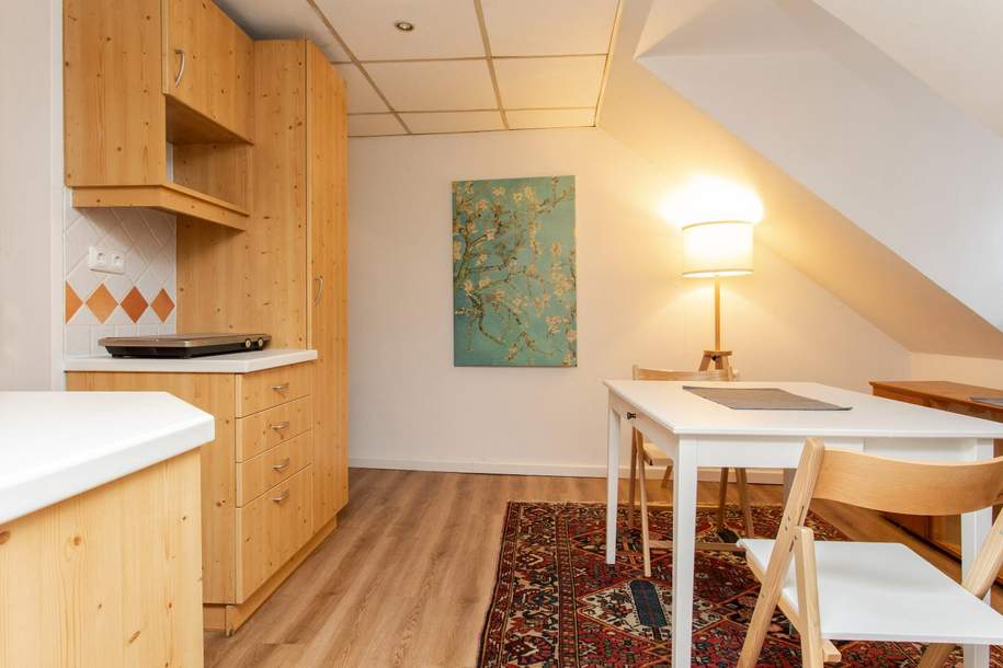 Anlegerwohnung am Burggarten, Wohnung-kauf, 89.000,€, 4600 Wels(Stadt)