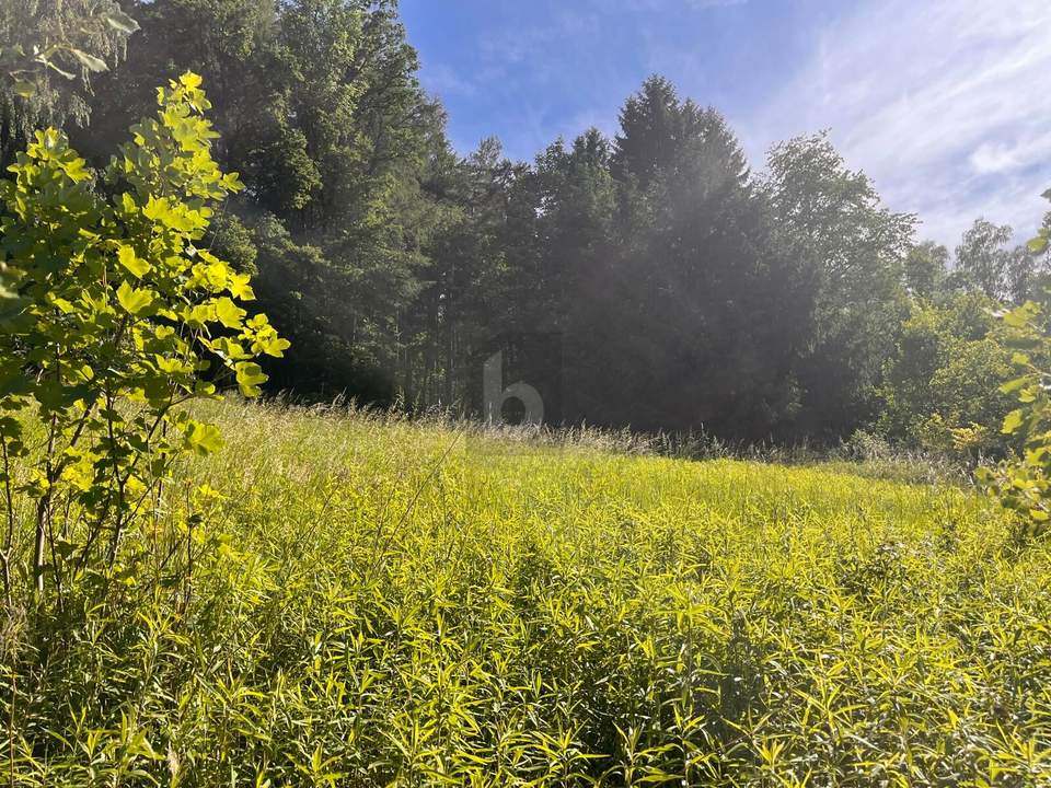 RUHIGES LEBEN IN IDYLLISCHER WALDRANDLAGE