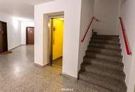 Frisch sanierte Eckwohnung mit 4 Zimmern im 2. Liftstock