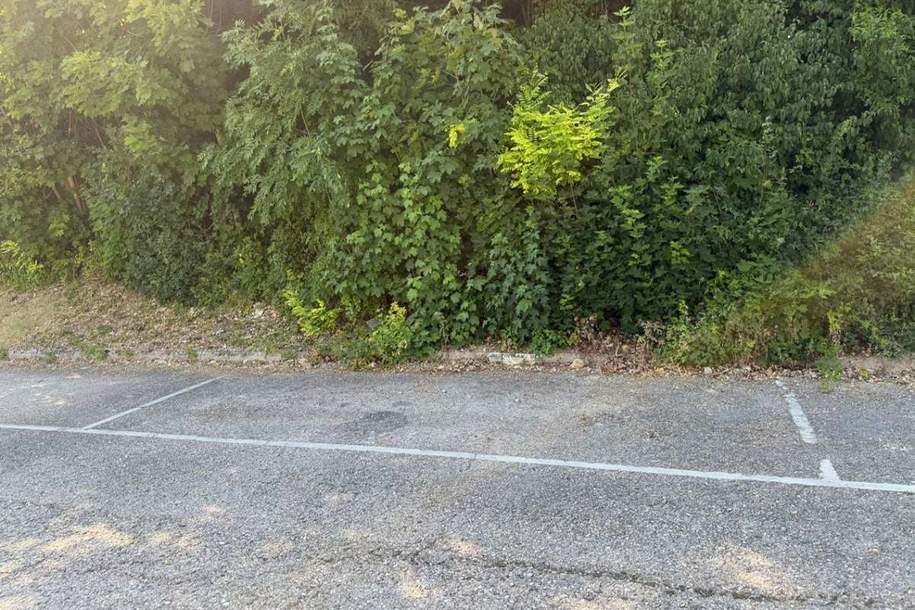 ++ PKW-AUSSENSTELLPLATZ ++ in Kaltenleutgeben, Hauptstraße 3, Kleinobjekte-kauf, 12.000,€, 2391 Mödling