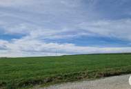 Bauernhof, Landwirtschaft, Alleinlage, Aussichtslage