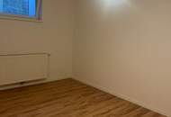 Teilmöbliertes Traumhaus in einer Kleingartensiedlung mit Pool, Garten und einem Wohnkeller