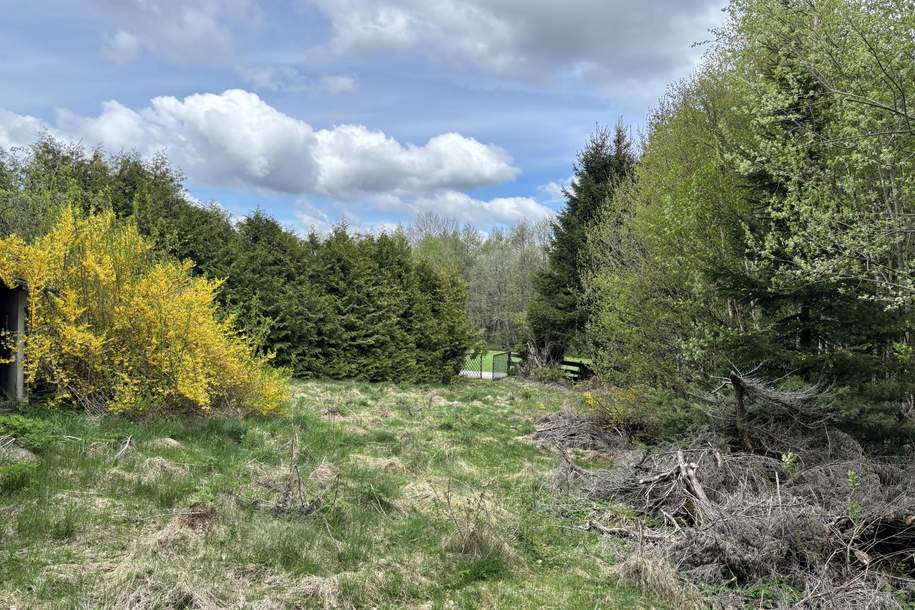 Baugrundstück mit ca. 776 m², Grund und Boden-kauf, 150.000,€, 4202 Urfahr-Umgebung